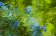 Reflections in a Stream